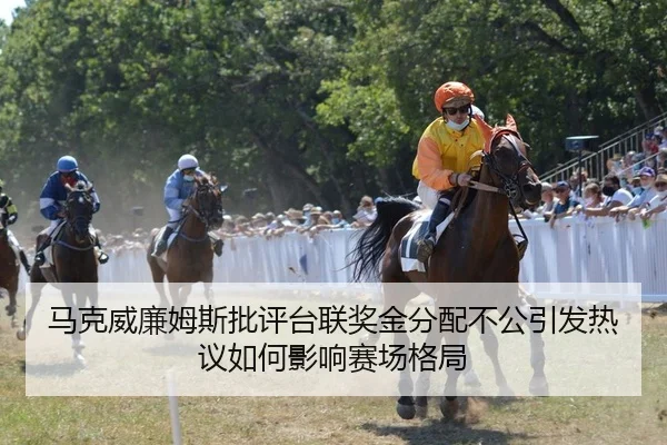 马克威廉姆斯批评台联奖金分配不公引发热议如何影响赛场格局